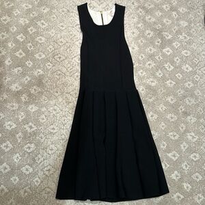 Parker Black Rayon Pleated Dress with a White Triangle Open Back